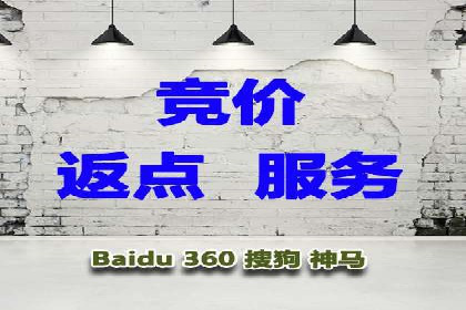 百度竞价代理实战：案例剖析与优化策略